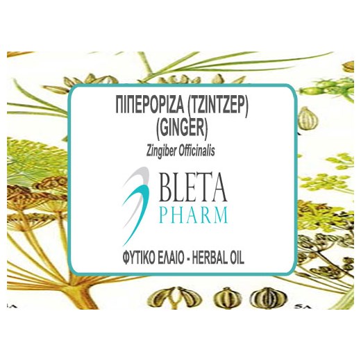 ΠΙΠΕΡΟΡΙΖΑ (ΤΖΙΝΤΖΕΡ - GINGER) ΦΥΤΙΚΟ ΕΛΑΙΟ 80ML