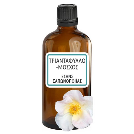 ΤΡΙΑΝΤΑΦΥΛΛΟ-ΜΟΣΧΟΣ ΕΣΑΝΣ ΣΑΠΩΝΟΠΟΙΪΑΣ 50ML