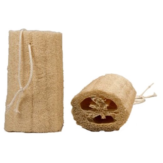 ΦΥΣΙΚΗ ΛΟΥΦΑ ΜΕ ΣΧΟΙΝΑΚΙ (16-17cm)